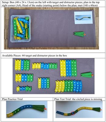 Sneaky Snake: assessing metacognitive behavior in 5 to 6 year-olds with an unsolvable task